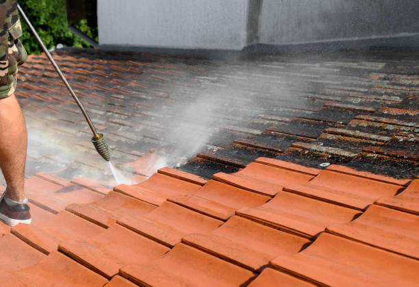 Best Residential Pressure Washing Services  in Windsor, IL