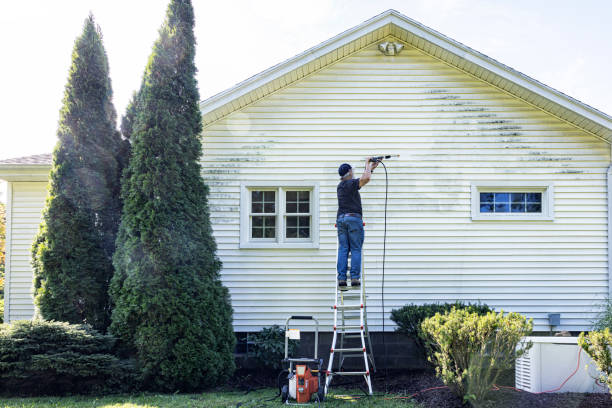 Best Roof Pressure Washing  in Windsor, IL
