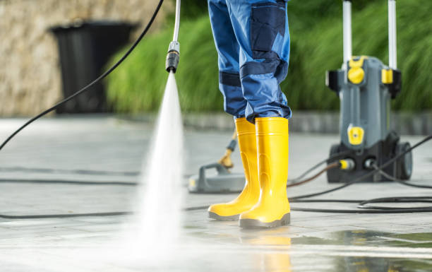 Best Sidewalk Pressure Washing  in Windsor, IL
