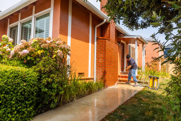 Roof Power Washing Services in Windsor, IL