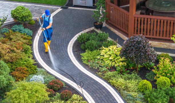 Best Pressure Washing Near Me  in Windsor, IL